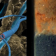 Illustration for article titled Scientists discover living power cables made from bacteria
